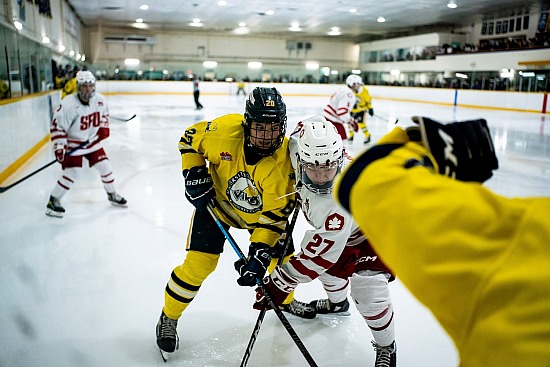 2022 Vikes Hockey